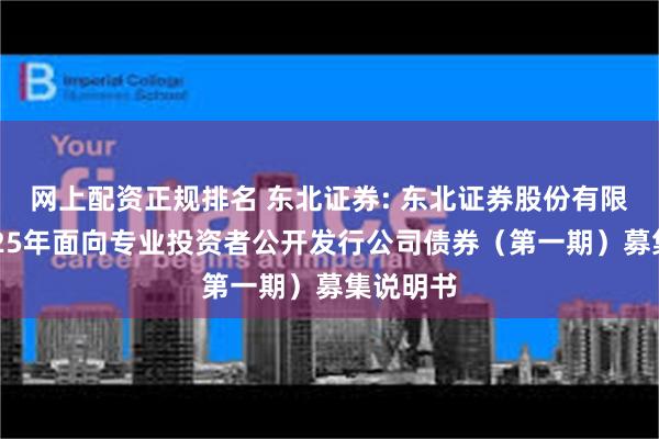 网上配资正规排名 东北证券: 东北证券股份有限公司2025年面向专业投资者公开发行公司债券（第一期）募集说明书