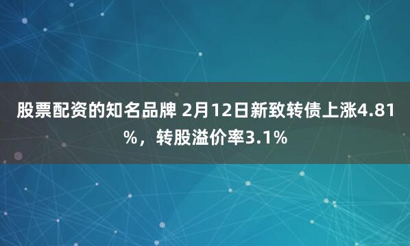 股票配资的知名品牌 2月12日新致转债上涨4.81%，转股溢价率3.1%