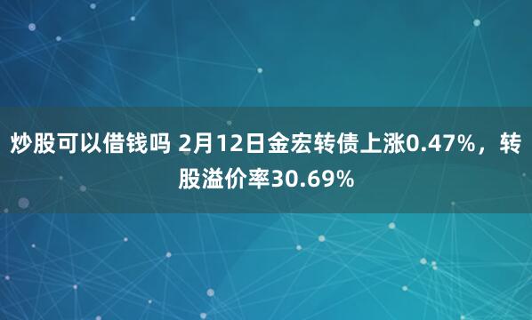 炒股可以借钱吗 2月12日金宏转债上涨0.47%，转股溢价率30.69%