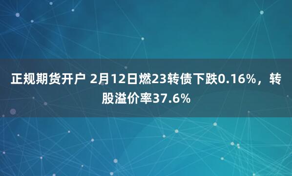 正规期货开户 2月12日燃23转债下跌0.16%，转股溢价率37.6%