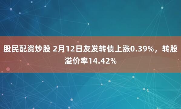 股民配资炒股 2月12日友发转债上涨0.39%，转股溢价率14.42%