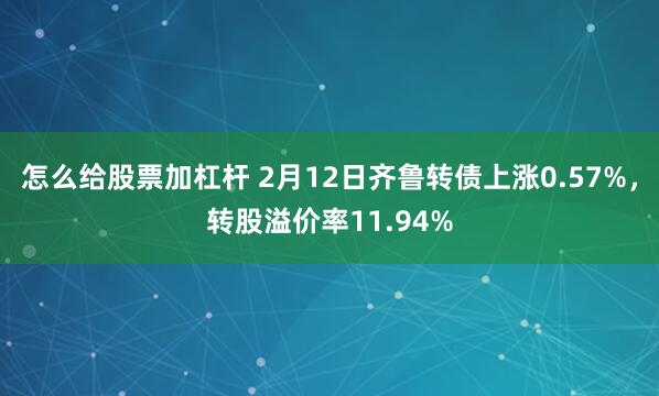 怎么给股票加杠杆 2月12日齐鲁转债上涨0.57%，转股溢价率11.94%