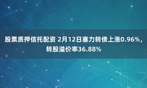 股票质押信托配资 2月12日塞力转债上涨0.96%，转股溢价率36.88%