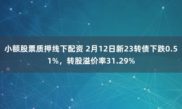 小额股票质押线下配资 2月12日新23转债下跌0.51%，转股溢价率31.29%