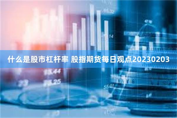 什么是股市杠杆率 股指期货每日观点20230203