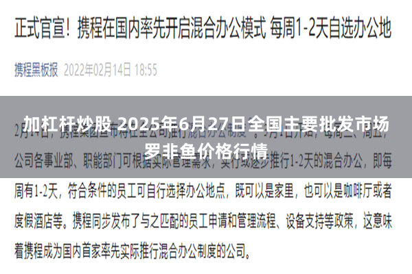 加杠杆炒股 2025年6月27日全国主要批发市场罗非鱼价格行情